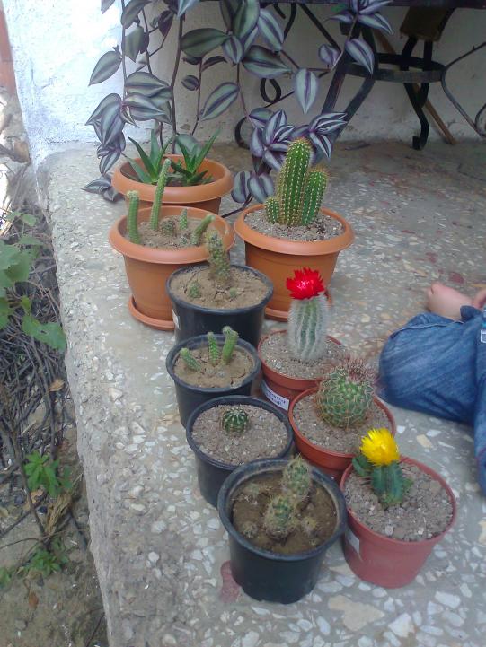 Name:  Fotoraf0631.jpg
Views: 2889
Size:  73.0 KB