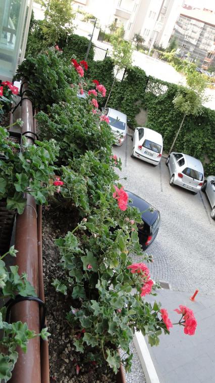Name:  401.jpg
Views: 1434
Size:  80.8 KB