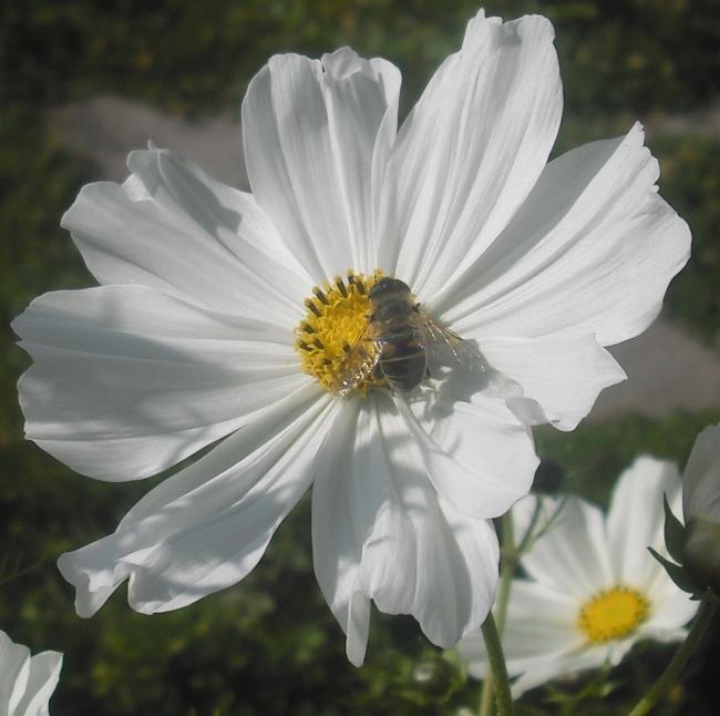 Name:  150.jpg
Views: 695
Size:  42.8 KB