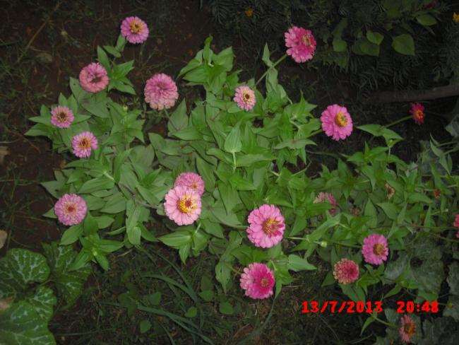 Name:  254.jpg
Views: 846
Size:  53.7 KB