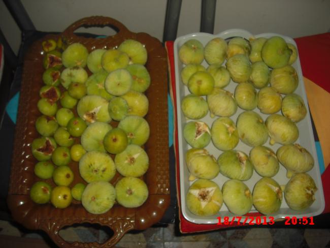 Name:  257.jpg
Views: 695
Size:  38.9 KB