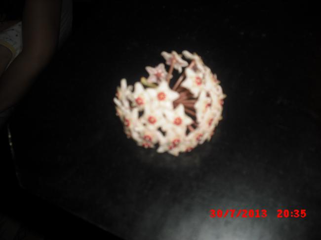 Name:  CIMG3883.jpg
Views: 646
Size:  16.7 KB