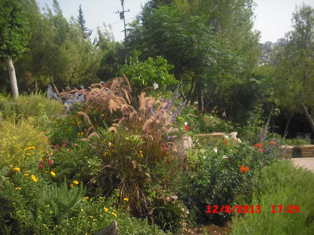 Name:  CIMG3945.jpg
Views: 1052
Size:  70.5 KB