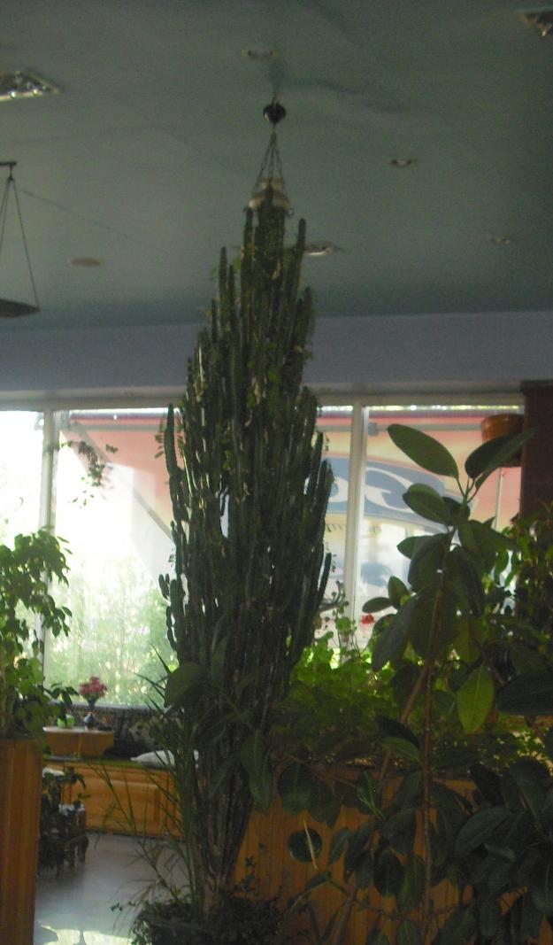Name:  CIMG3479.jpg
Views: 754
Size:  70.8 KB