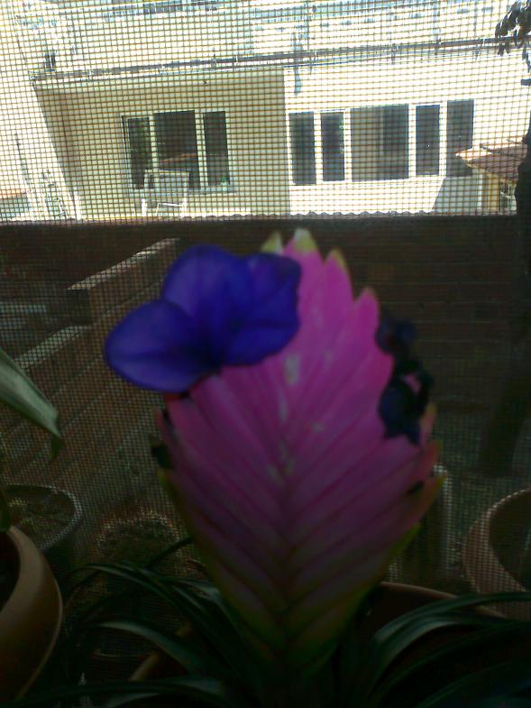 Name:  Fotoraf0650.jpg
Views: 2640
Size:  71.0 KB