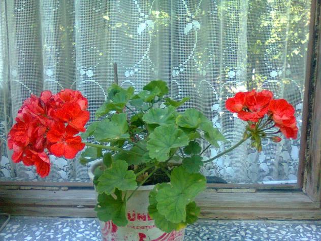 Name:  Fotoraf3386.jpg
Views: 645
Size:  70.7 KB
