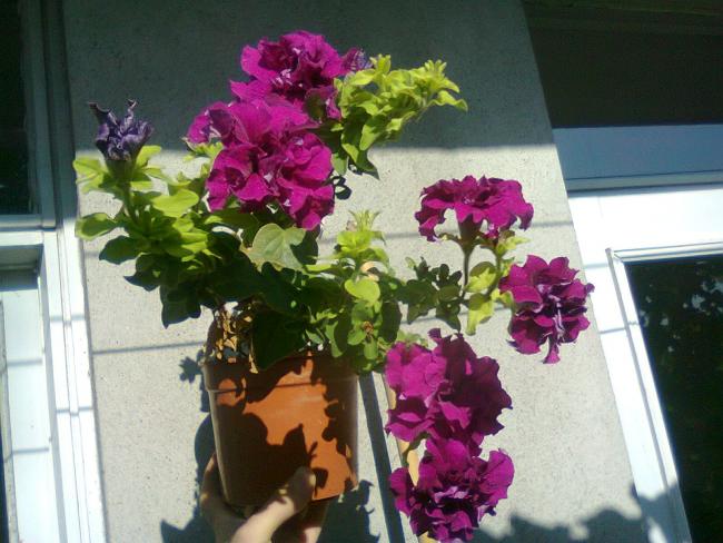 Name:  Fotoraf3361.jpg
Views: 642
Size:  51.8 KB