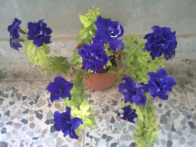 Name:  Fotoraf3451.jpg
Views: 594
Size:  54.2 KB