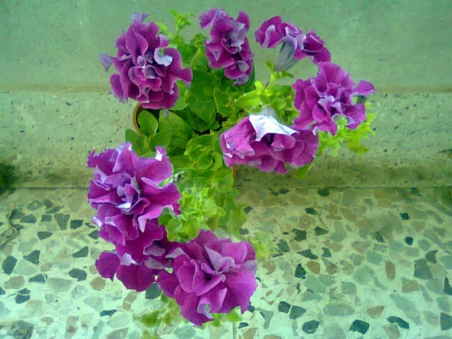 Name:  Fotoraf3453.jpg
Views: 574
Size:  55.9 KB