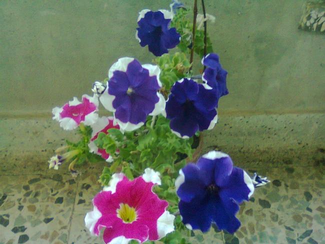 Name:  Fotoraf3456.jpg
Views: 590
Size:  47.2 KB