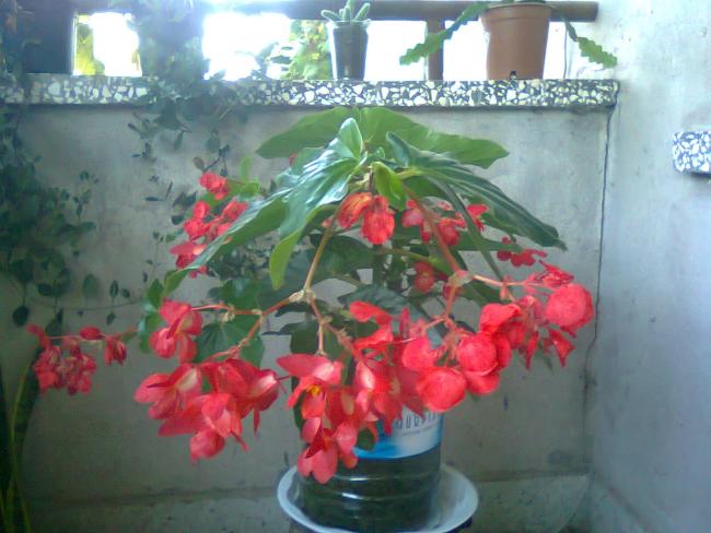 Name:  Fotoraf3469.jpg
Views: 698
Size:  44.5 KB