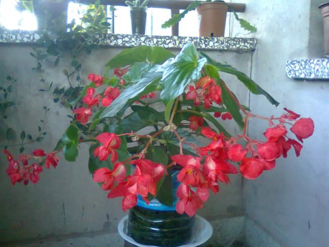 Name:  Fotoraf3470.jpg
Views: 724
Size:  47.6 KB