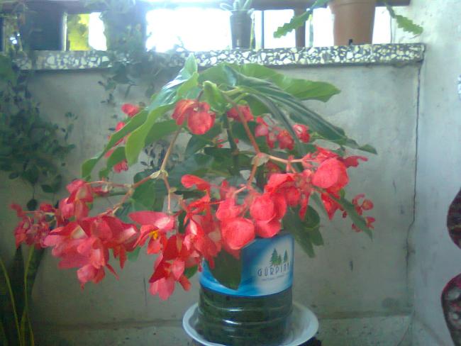 Name:  Fotoraf3471.jpg
Views: 685
Size:  41.8 KB