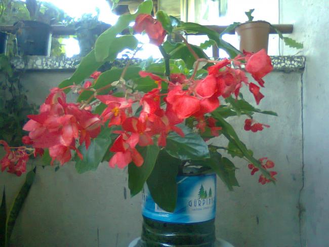 Name:  Fotoraf3472.jpg
Views: 723
Size:  42.6 KB