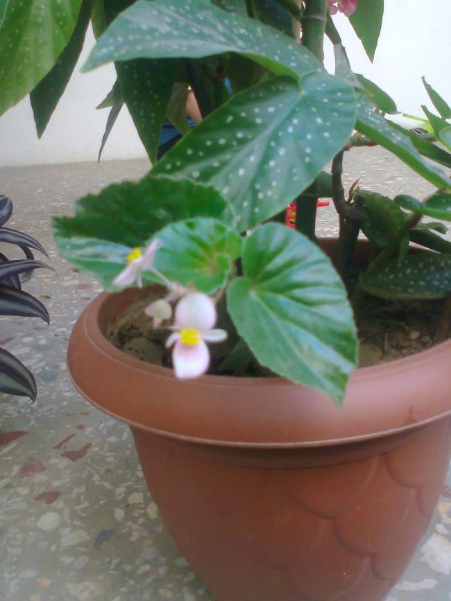 Name:  Fotoraf0649.jpg
Views: 2865
Size:  56.9 KB