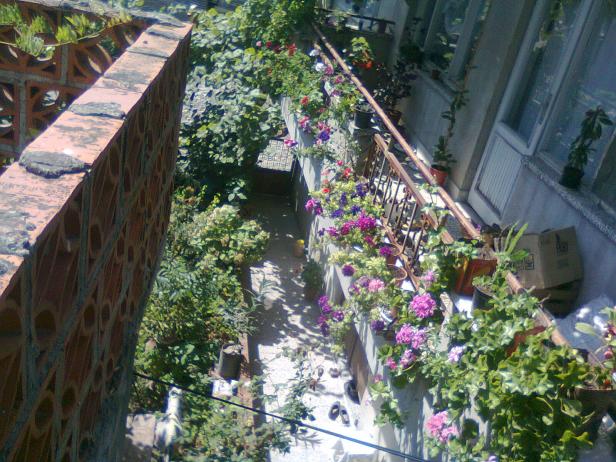 Name:  Fotoraf3519.jpg
Views: 981
Size:  71.0 KB