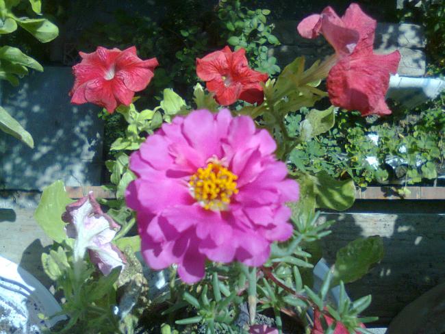 Name:  Fotoraf3520.jpg
Views: 562
Size:  61.7 KB