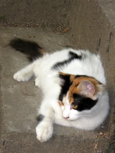 Name:  IMG_3260.jpg
Views: 985
Size:  29.7 KB
