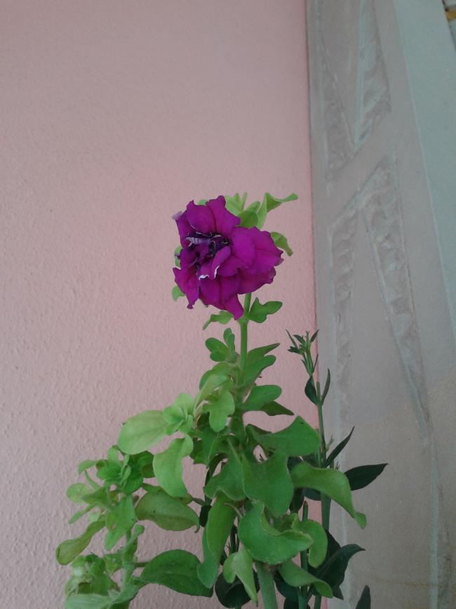 Name:  2013-09-01 16.48.38.jpg
Views: 934
Size:  49.0 KB