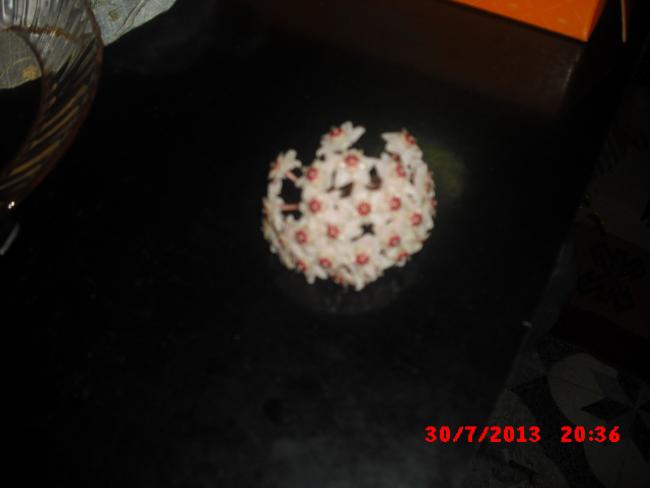 Name:  CIMG3885.jpg
Views: 551
Size:  17.8 KB