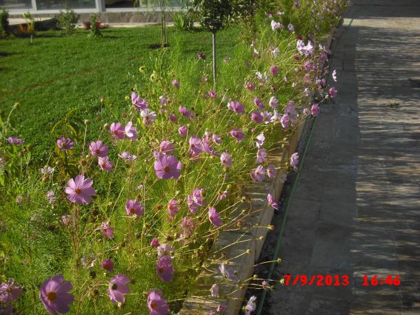 Name:  CIMG4464.jpg
Views: 527
Size:  70.6 KB