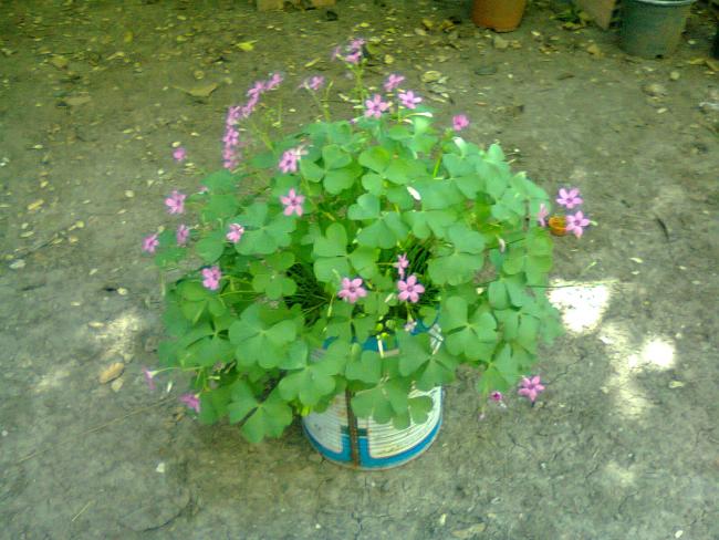 Name:  Fotoraf3592.jpg
Views: 759
Size:  56.0 KB