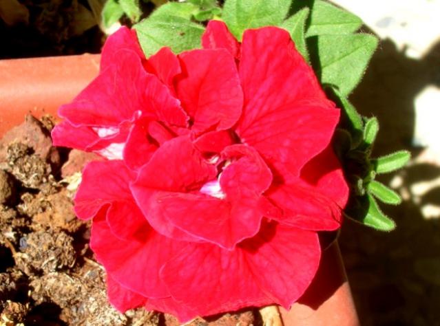 Name:  DSCN4180.jpg
Views: 1039
Size:  45.5 KB