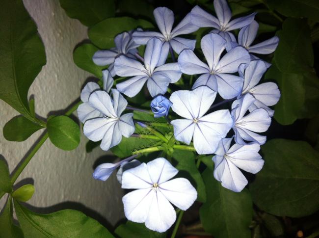 Name:  fotoraf.jpg
Views: 1308
Size:  44.7 KB