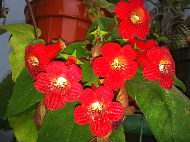Name:  fotoraf (6).jpg
Views: 1485
Size:  51.2 KB