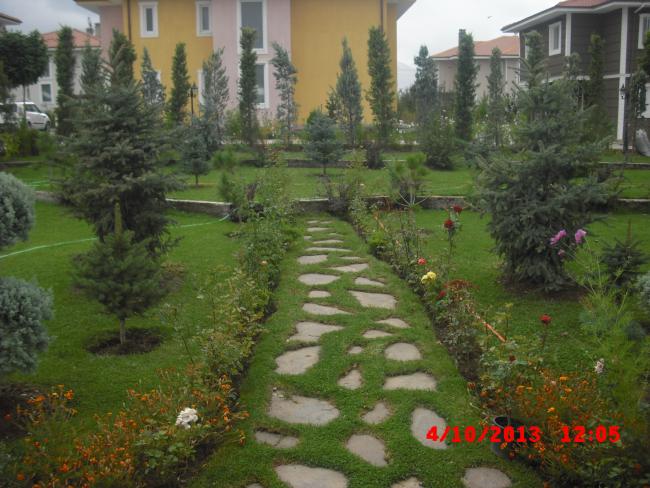 Name:  CIMG4607.jpg
Views: 469
Size:  58.2 KB