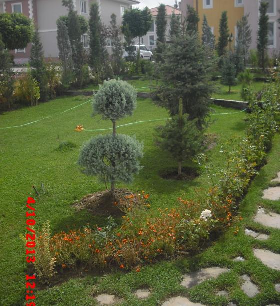 Name:  CIMG4641.jpg
Views: 476
Size:  71.6 KB