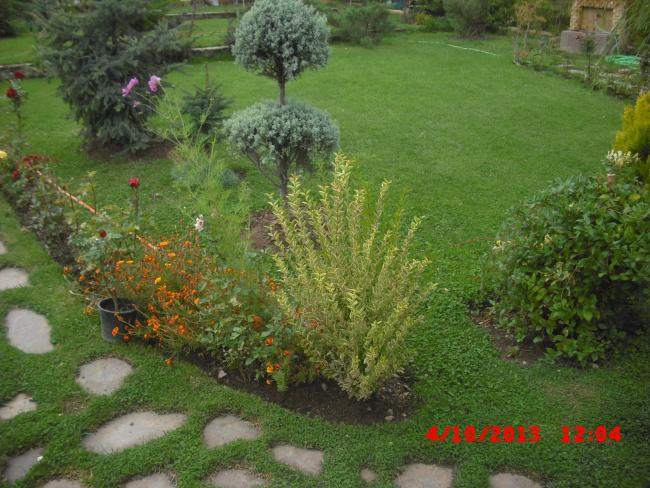 Name:  CIMG4606.jpg
Views: 900
Size:  65.3 KB