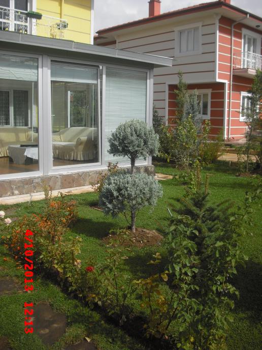 Name:  CIMG4631.jpg
Views: 476
Size:  72.4 KB