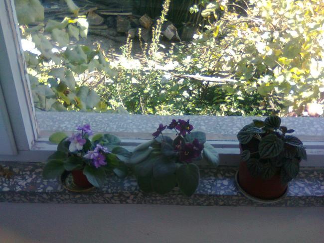 Name:  Fotoraf3705.jpg
Views: 636
Size:  59.2 KB