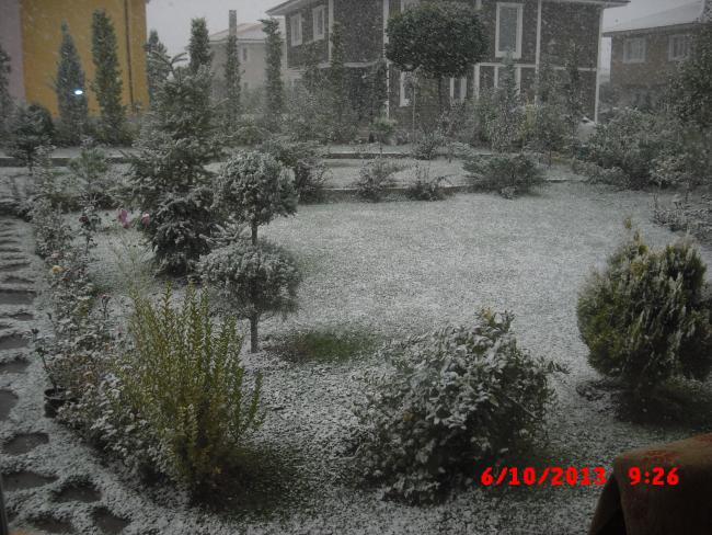 Name:  CIMG4644.jpg
Views: 914
Size:  69.9 KB