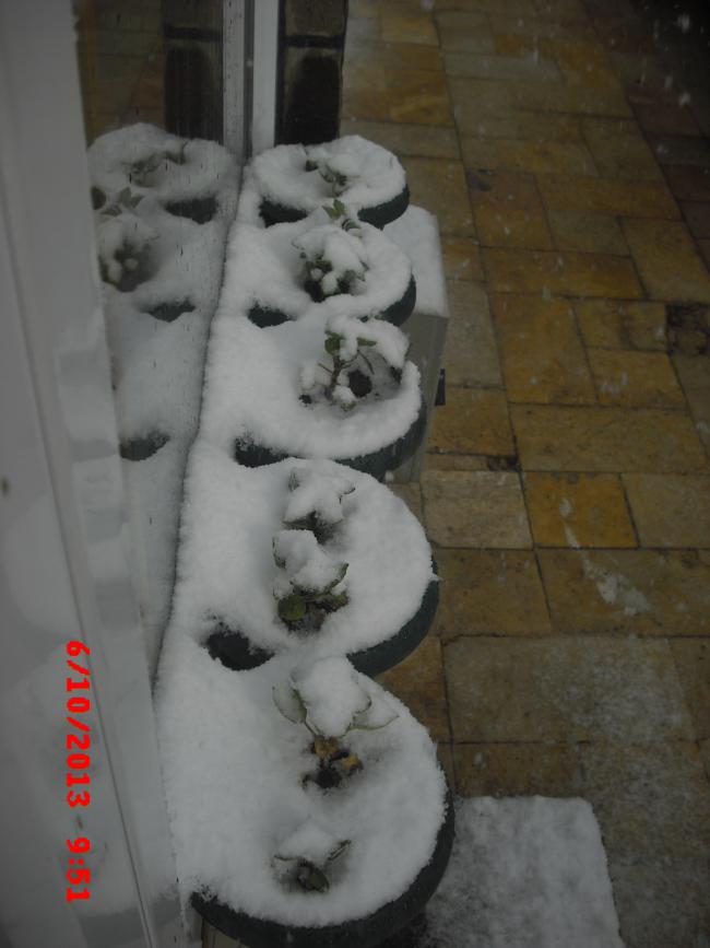 Name:  CIMG4658.jpg
Views: 448
Size:  47.6 KB