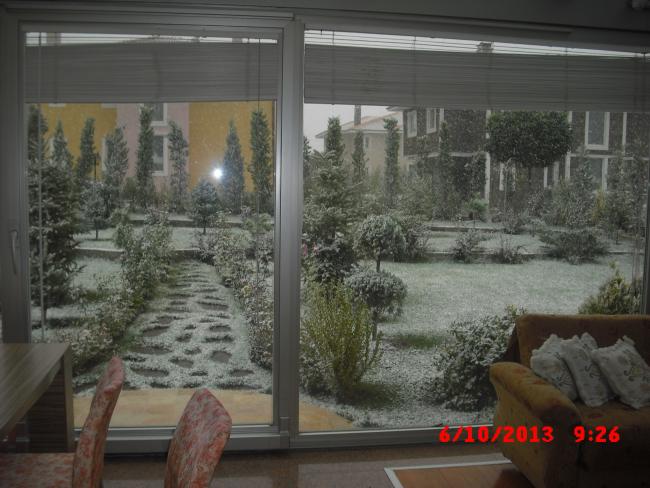 Name:  CIMG4643.jpg
Views: 449
Size:  50.9 KB