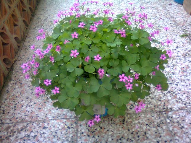 Name:  Fotoraf3725.jpg
Views: 571
Size:  70.6 KB