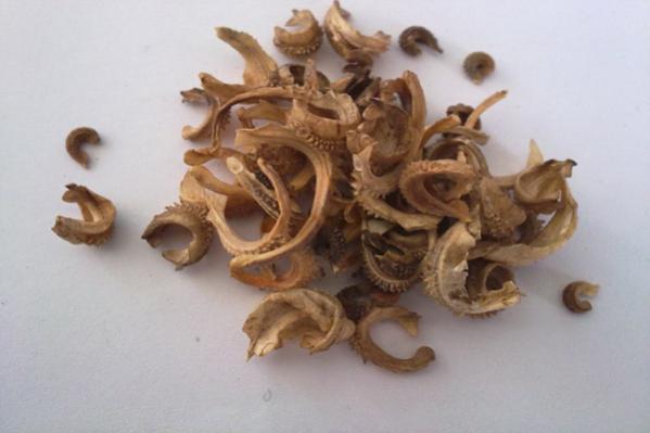Name:  Aynisafa(calendula).jpg
Views: 3632
Size:  25.6 KB