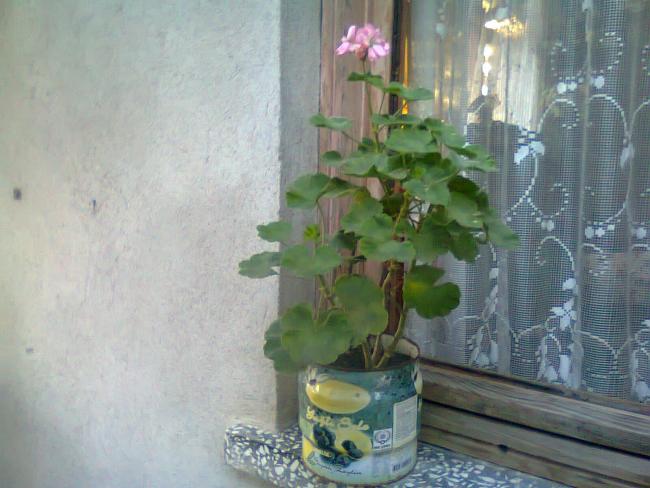 Name:  Fotoraf3741.jpg
Views: 488
Size:  45.1 KB