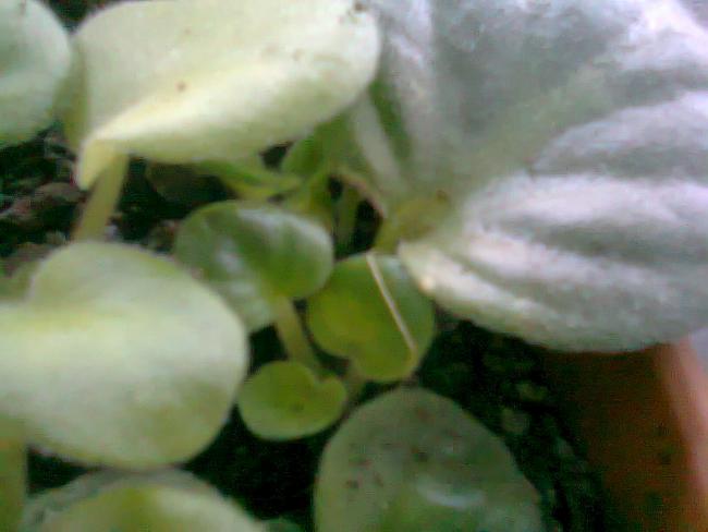 Name:  Fotoraf3772.jpg
Views: 656
Size:  29.1 KB