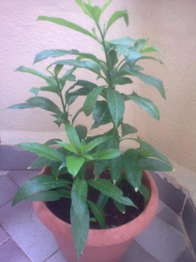 Name:  Grnt1314.jpg
Views: 1270
Size:  54.2 KB
