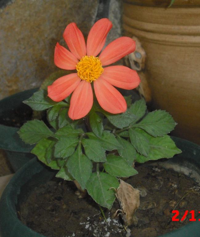 Name:  CIMG4802.jpg
Views: 388
Size:  54.9 KB
