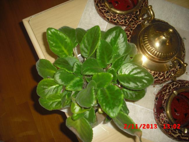 Name:  CIMG4816.jpg
Views: 386
Size:  46.9 KB