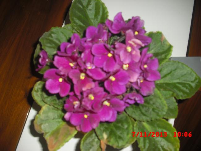 Name:  CIMG4871.jpg
Views: 347
Size:  37.3 KB