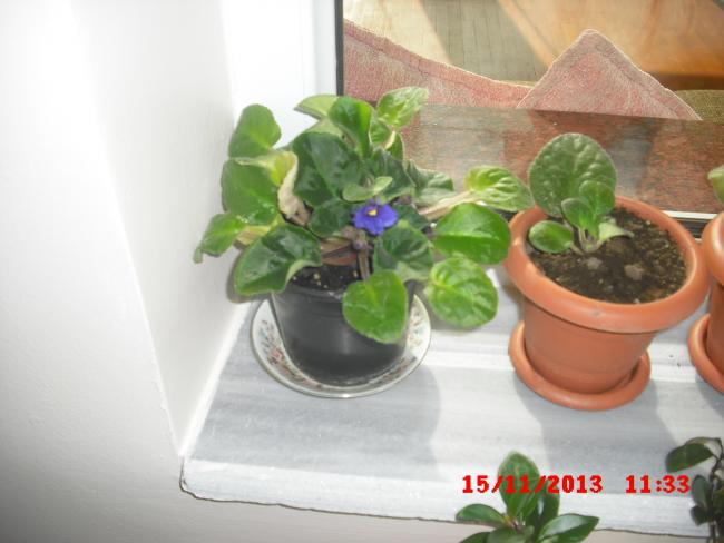 Name:  CIMG4933.jpg
Views: 540
Size:  36.0 KB