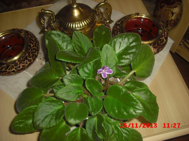 Name:  CIMG4922.jpg
Views: 530
Size:  50.3 KB