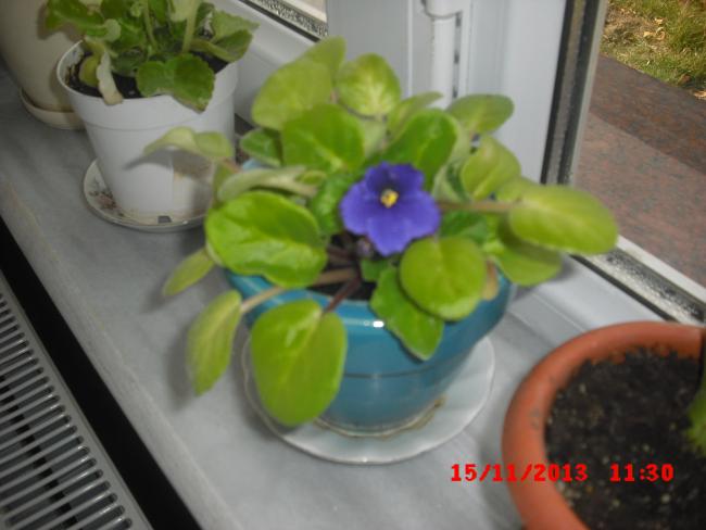 Name:  CIMG4925.jpg
Views: 542
Size:  35.5 KB