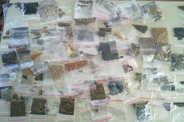 Name:  Tohum_sergisi (2).jpg
Views: 1006
Size:  42.3 KB