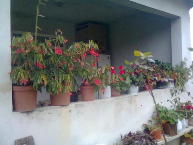 Name:  Fotoraf3820.jpg
Views: 1672
Size:  40.7 KB